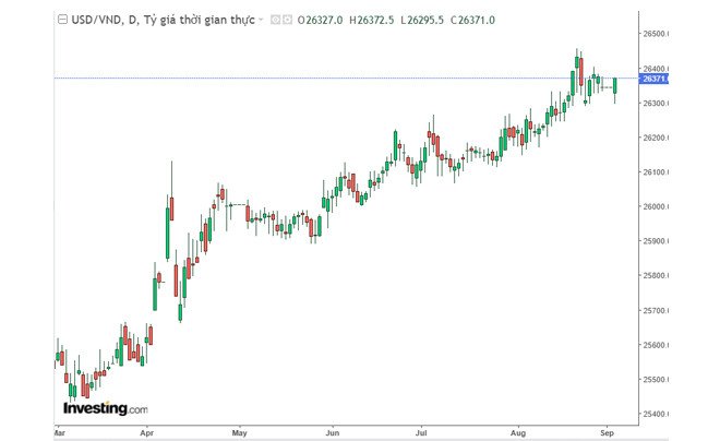 Biểu đồ thể hiện biến động tỷ giá USD/VND trong một năm qua, cung cấp cái nhìn về 1 Đô bằng bao nhiêu tiền Việt Nam theo thời gian.