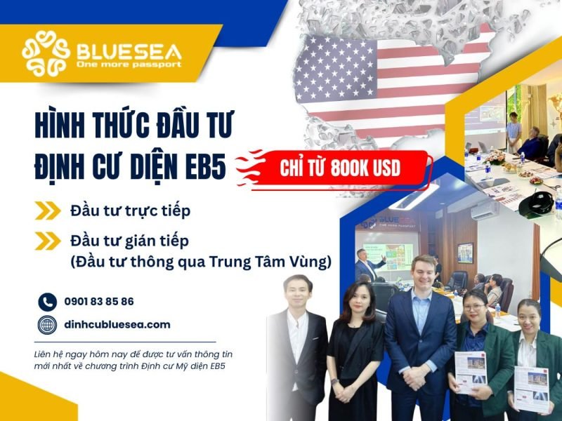 Các hình thức đầu tư định cư Mỹ diện EB5, bao gồm trực tiếp và gián tiếp.