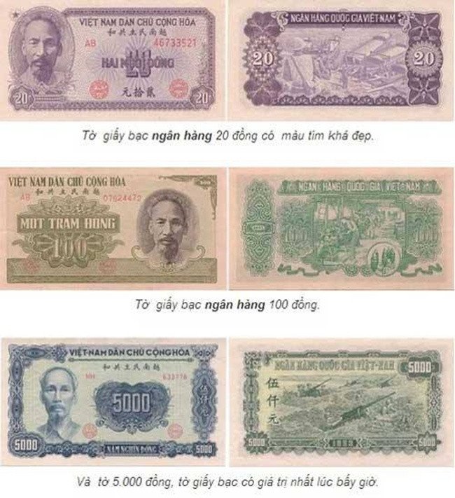 Các mệnh giá tiền giấy do Ngân hàng Quốc gia Việt Nam phát hành năm 1951, với hình ảnh Chủ tịch Hồ Chí Minh