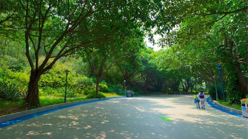Công viên giải trí Trường Long