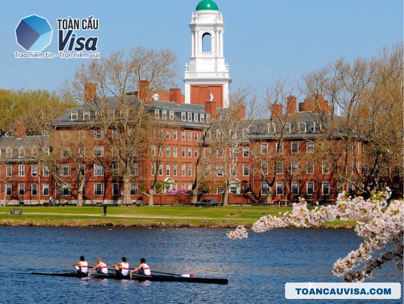 Đại học Harvard ở Massachusetts