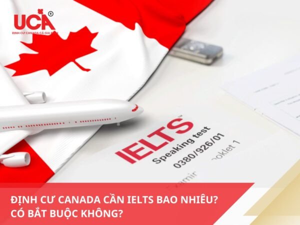 Định Cư Canada Cần IELTS Bao Nhiêu Để Đủ Điều Kiện? Hình ảnh người đang tìm hiểu về yêu cầu định cư Canada cần IELTS bao nhiêu