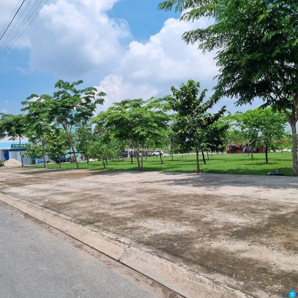 Không gian xanh mát tại công viên của Khu Tái Định Cư Tân Kim