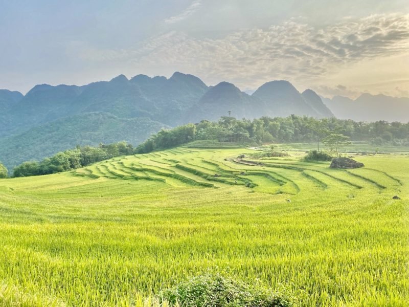 Giải Mã: **Tái Định Cư Là Gì Theo Luật Đất Đai 2024** Khu đô thị mới hiện đại, minh họa cho chất lượng khu tái định cư theo quy định mới của Luật Đất đai 2024