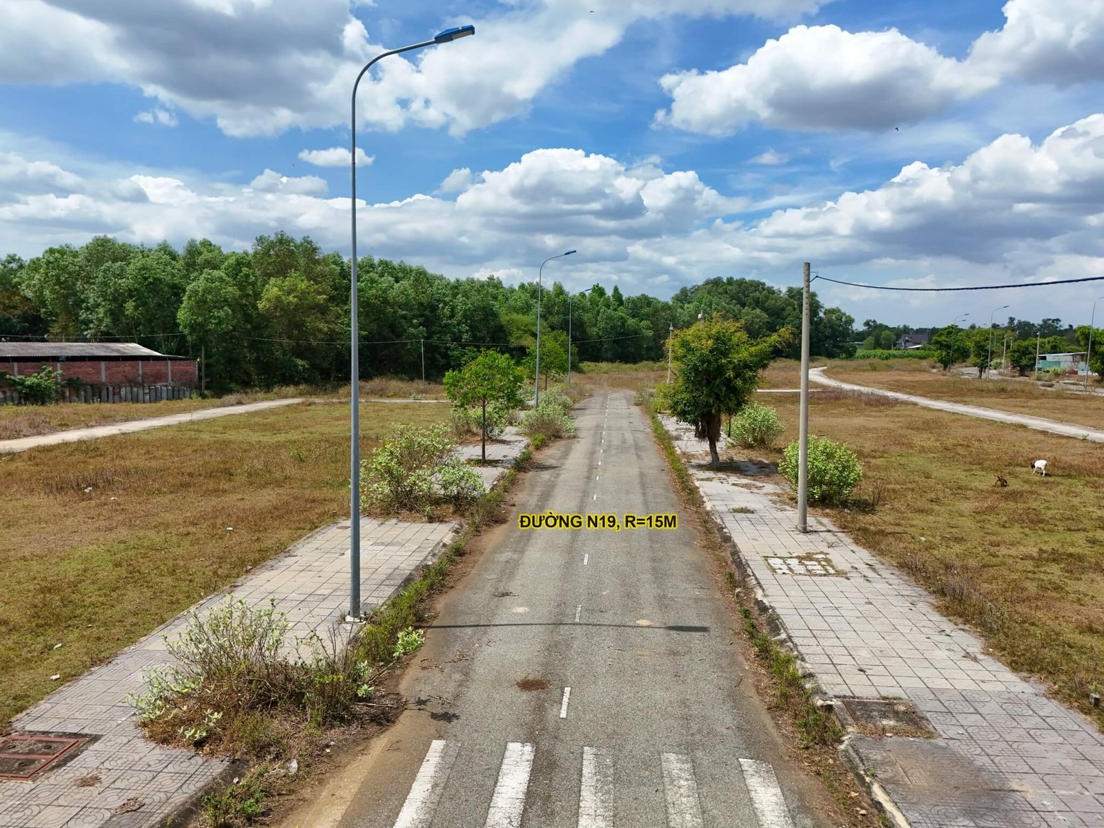 Lô đất góc N19 và D12, thể hiện vị trí đắc địa để đầu tư bán đất tái định cư Sonadezi Châu Đức