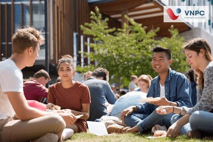 Một cặp đôi đang ngắm cảnh tại bãi biển xanh mát ở New Zealand