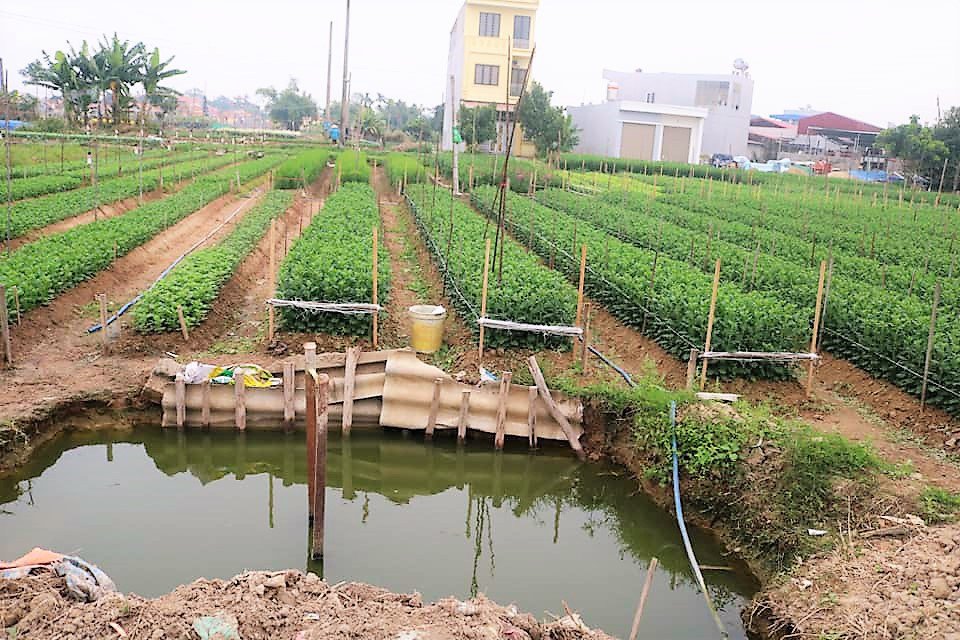 Người dân tự ý đào đất trong khu vực dự án tái định cư Gốc Lim để tạo hồ chứa nước, phản ánh sự thiếu quy hoạch và quản lý
