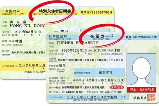 Người phụ nữ xem xét thông tin visa định cư Nhật Bản, thẻ vĩnh trú