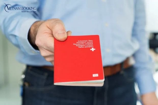 Nhà đầu tư đang xem xét báo cáo tài chính
