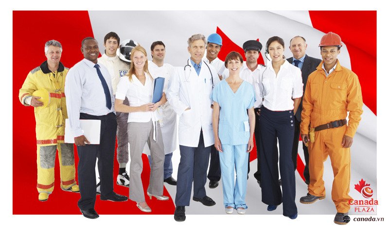 Nhiều ngành nghề đa dạng có cơ hội định cư Canada diện tay nghề