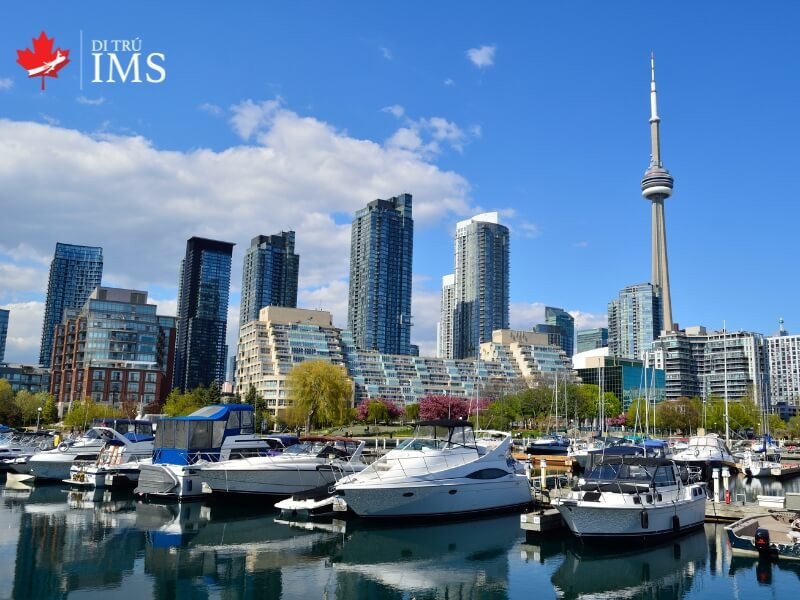 So sánh thời gian hiện tại giữa Toronto và Việt Nam, nhấn mạnh sự chênh lệch lớn về múi giờ.