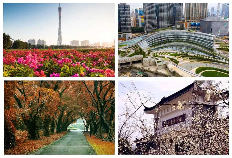 Thời tiết lý tưởng cho chuyến đi Quảng Châu