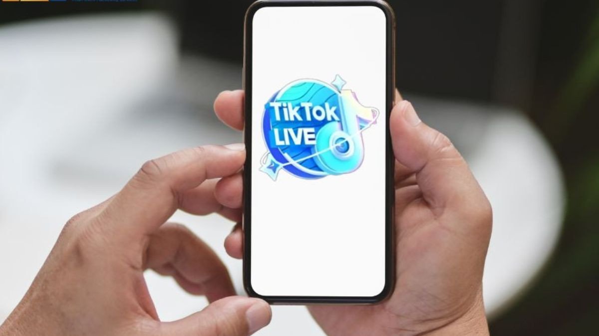 TikTok Universe là một quà tặng ảo giá trị cao trên nền tảng