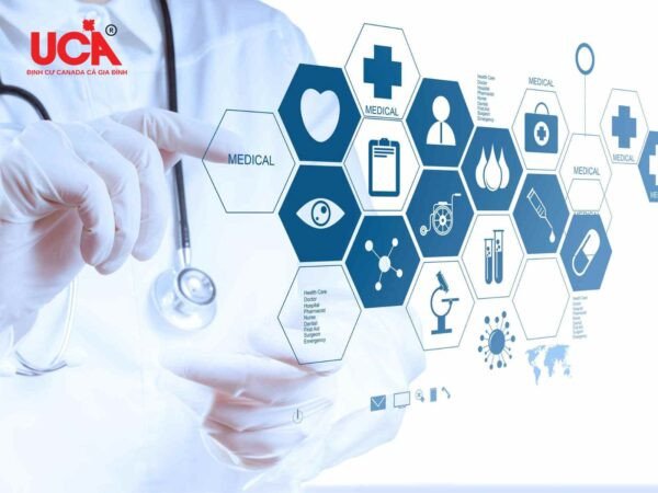 Y tá và chuyên gia chăm sóc sức khỏe là những ngành dễ định cư ở Canada