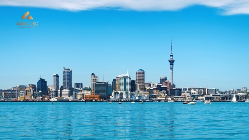 Ảnh minh họa quy ước múi giờ của New Zealand
