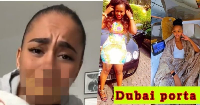 Sự Thật Gây Sốc Về **Dubai Porta Potty Gốc**