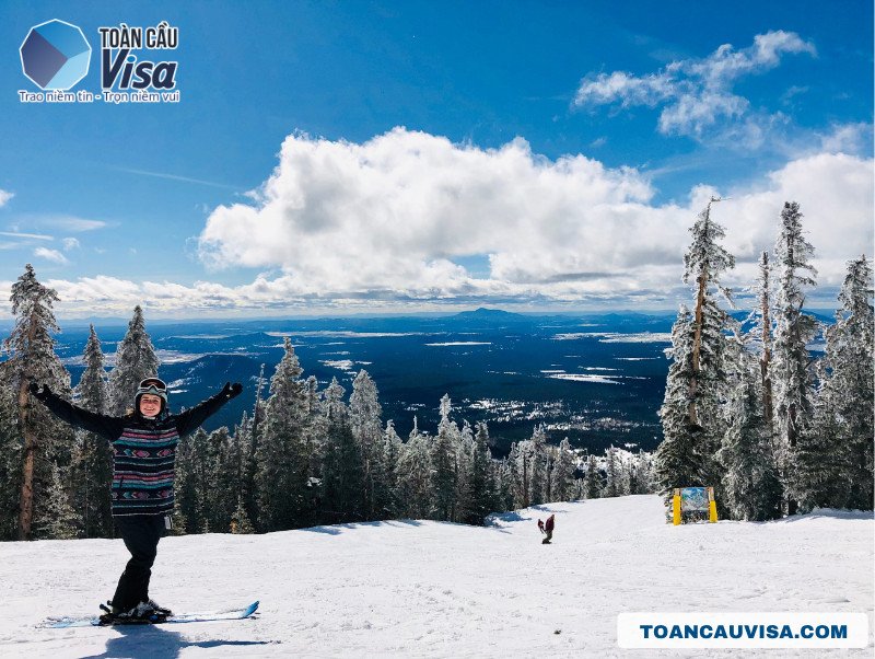 Cảnh mùa đông tuyết phủ trắng xóa tại Flagstaff, Arizona