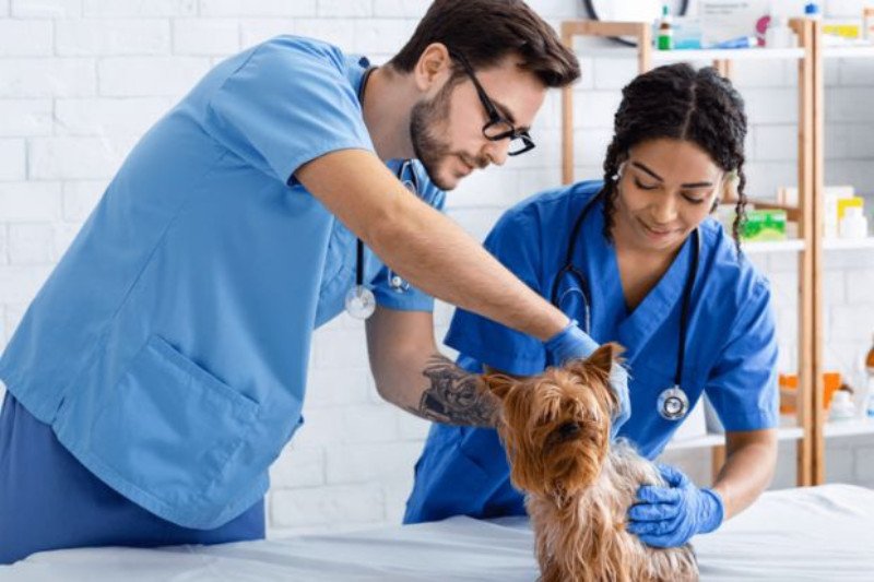 Máy móc nông nghiệp hiện đại đang hoạt động trên cánh đồng, biểu thị nông nghiệp công nghệ cao