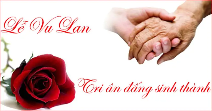 Mục Lục Bài Viết