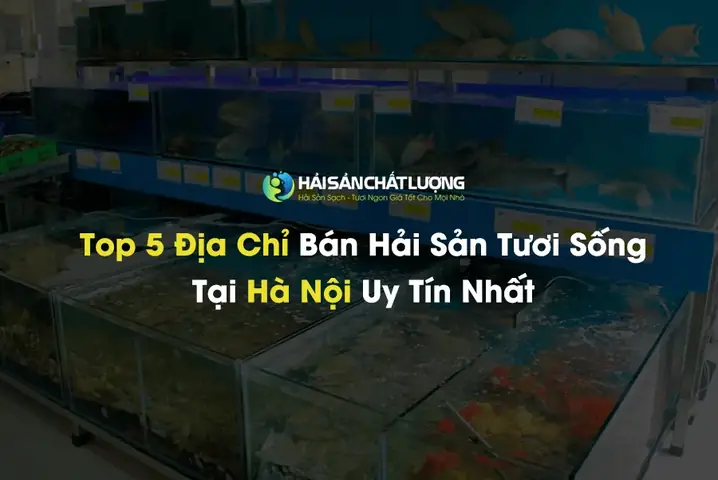 Top 5 Địa Chỉ Bán Hải Sản Tươi Sống Tại Hà Nội Uy Tín Nhất