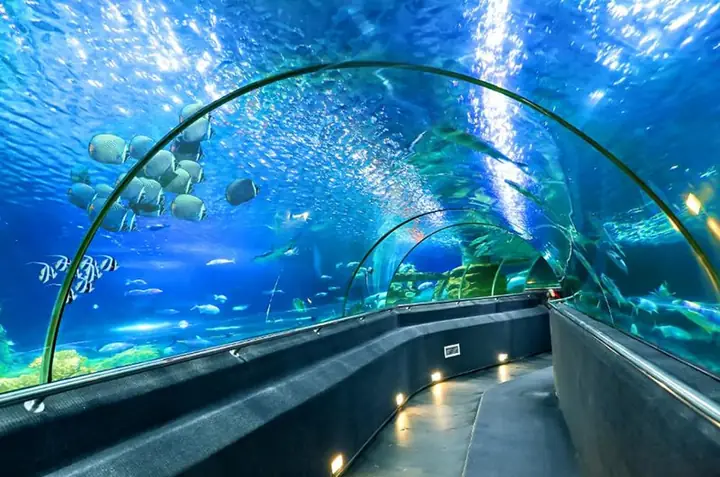 Những Mảnh Ghép Không Nên Bỏ Lỡ Trong Bản Đồ Vinpearl Nha Trang. Những Mảnh Ghép Không Nên Bỏ Lỡ Trong Bản Đồ Vinpearl Nha Trang.