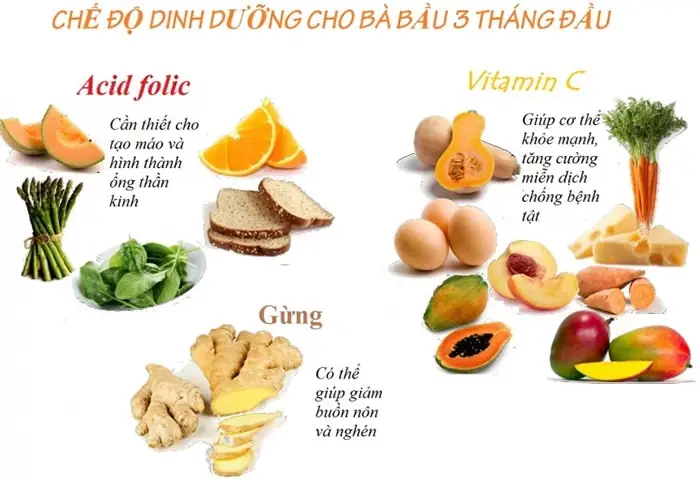 Bà Bầu 3 Tháng Đầu Nên Ăn Uống Gì Để Thai Nhi Khỏe Mạnh? Bà Bầu 3 Tháng Đầu Nên Ăn Uống Gì Để Thai Nhi Khỏe Mạnh?