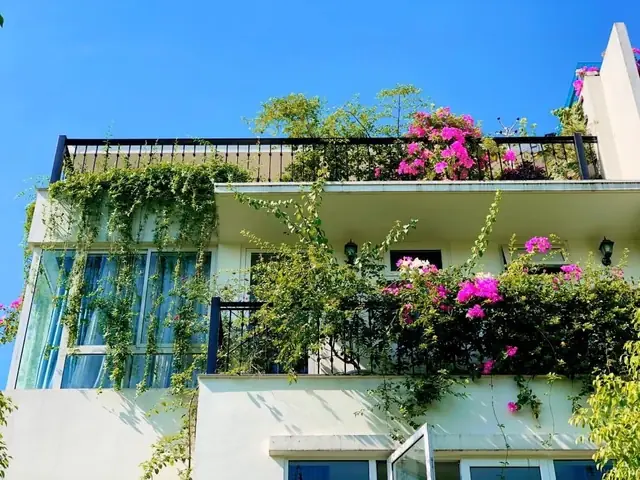 Các Vườn Hoa Đẹp Ở Hà Nội Là Gì? Các Vườn Hoa Đẹp Ở Hà Nội Là Gì?