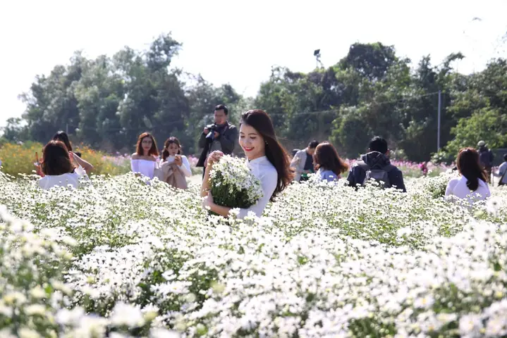Các Vườn Hoa Đẹp Ở Hà Nội Là Gì? Các Vườn Hoa Đẹp Ở Hà Nội Là Gì?