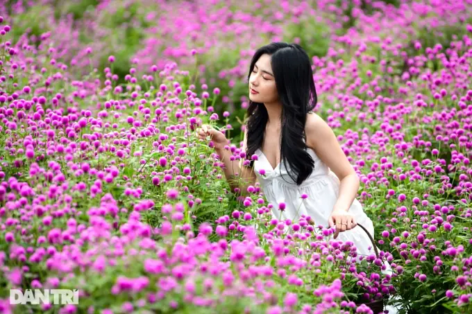 Các Vườn Hoa Đẹp Ở Hà Nội Là Gì? Các Vườn Hoa Đẹp Ở Hà Nội Là Gì?