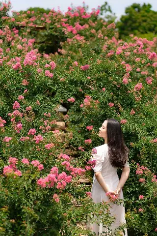 Các Vườn Hoa Đẹp Ở Hà Nội Là Gì? Các Vườn Hoa Đẹp Ở Hà Nội Là Gì?