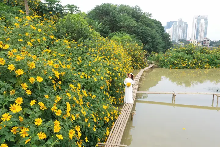 Các Vườn Hoa Đẹp Ở Hà Nội Là Gì? Các Vườn Hoa Đẹp Ở Hà Nội Là Gì?