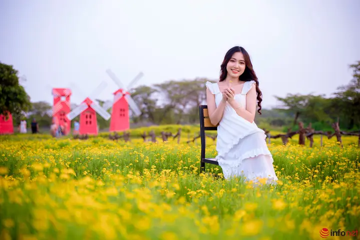 Các Vườn Hoa Đẹp Ở Hà Nội Là Gì? Các Vườn Hoa Đẹp Ở Hà Nội Là Gì?