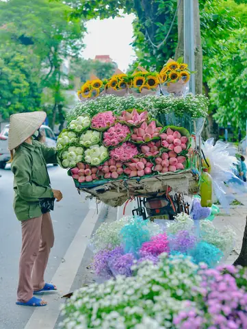 Các Vườn Hoa Đẹp Ở Hà Nội Là Gì? Các Vườn Hoa Đẹp Ở Hà Nội Là Gì?