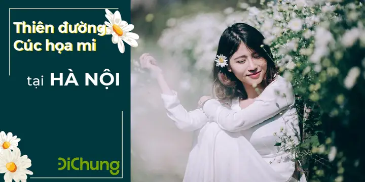 Các Vườn Hoa Đẹp Ở Hà Nội Là Gì? Các Vườn Hoa Đẹp Ở Hà Nội Là Gì?