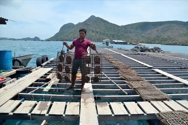 Ngọc Trailà Một Trong Những Loại Trang Sức Sang Trọng Có Giá Trị Cao Và Được Nhiều Người Ưa Chuộng. Ngọc Trailà Một Trong Những Loại Trang Sức Sang Trọng Có Giá Trị Cao Và Được Nhiều Người Ưa Chuộng.