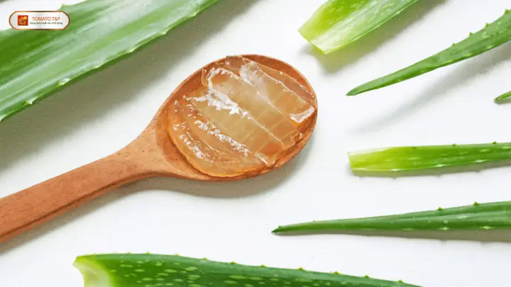 Nguyên Liệu Làm Sữa Chua Nha Đam Nguyên Liệu Làm Sữa Chua Nha Đam