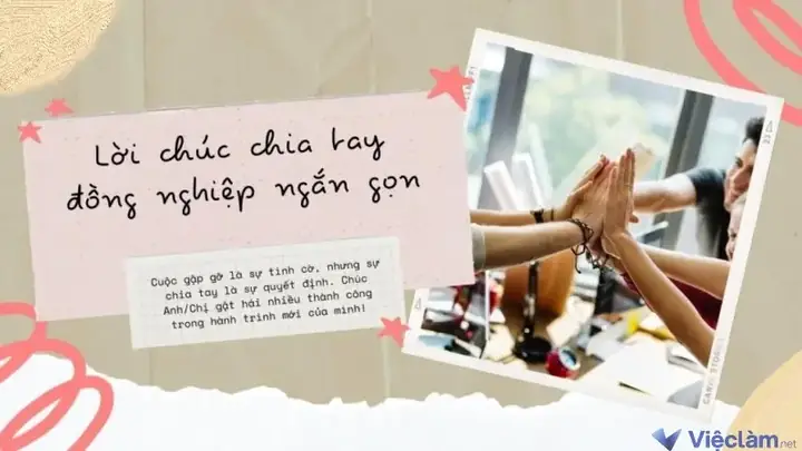 Stt Hay Về Tình Đồng Nghiệp: 500+ Câu Nói Ý Nghĩa, Hài Hước Và Truyền Cảm Hứng Stt Hay Về Tình Đồng Nghiệp: 500+ Câu Nói Ý Nghĩa, Hài Hước Và Truyền Cảm Hứng