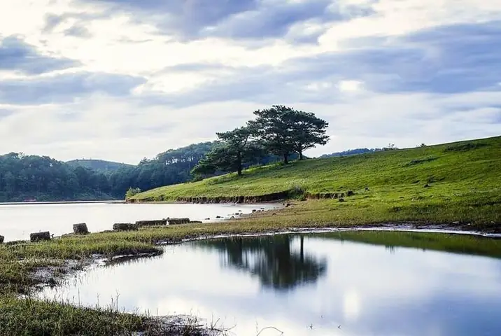 Vẻ Đẹp Yêu Kiều Và Đầy Thơ Mộng Của Hồ Suối Vàng Vẻ Đẹp Yêu Kiều Và Đầy Thơ Mộng Của Hồ Suối Vàng