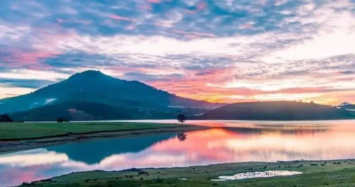 Khám Phá Cây Cô Đơn Hồ Suối Vàng Đà Lạt: Hướng Dẫn Chi Tiết A-Z Thời Điểm Lý Tưởng Dành Cho Bạn Khi Đến Hồ Suối Vàng