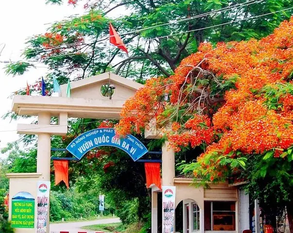 Check In Vườn Quốc Gia Ba Vì: Hướng Dẫn Cho Hành Trình Quốc Tế