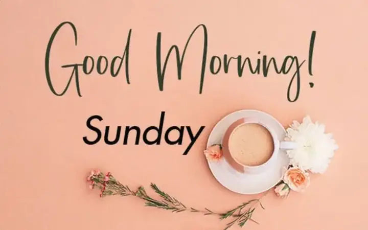 Tầm Quan Trọng Của Ngôn Ngữ Hình Ảnh Và Hashtag Tầm Quan Trọng Của Ngôn Ngữ Hình Ảnh Và Hashtag