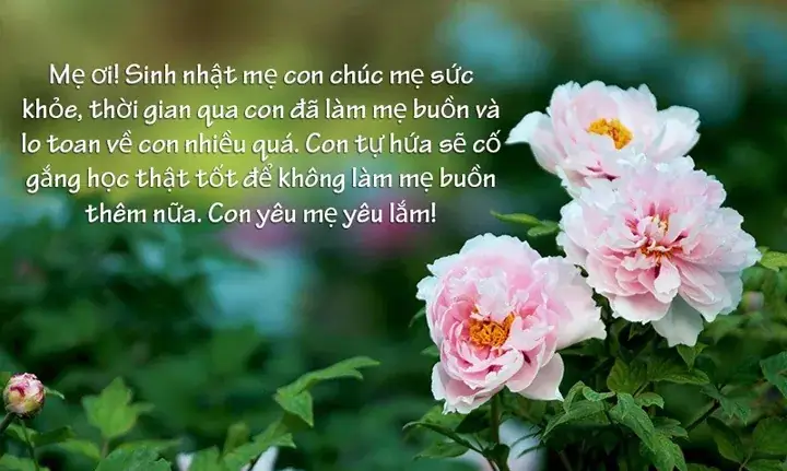 Nhấn Mạnh Tính Liên Tục Và Vĩnh Cửu