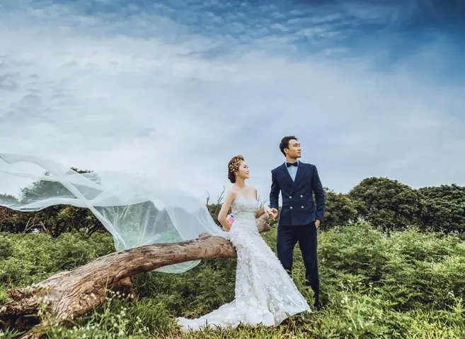 Vườn Nhãn Gia Lâm Thiên Đường Mặt Đất Vườn Nhãn Gia Lâm Thiên Đường Mặt Đất