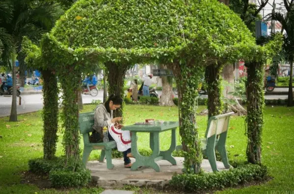 Điểm Khác Biệt Của Công Viên Hoàng Văn Thụ Hồ Chí Minh Điểm Khác Biệt Của Công Viên Hoàng Văn Thụ Hồ Chí Minh