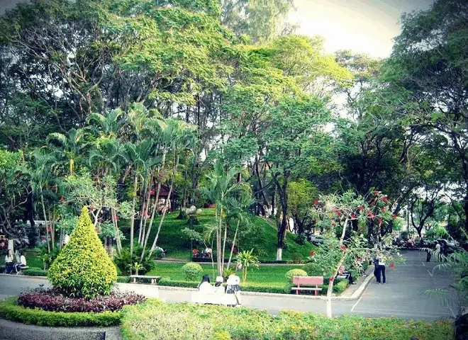 Điểm Khác Biệt Của Công Viên Hoàng Văn Thụ Hồ Chí Minh Điểm Khác Biệt Của Công Viên Hoàng Văn Thụ Hồ Chí Minh