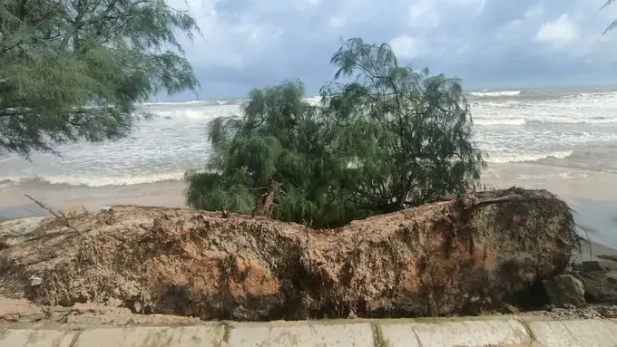 Các Cửa Biển Thuộc Tỉnh Thừa Thiên Huế: Thông Tin Chi Tiết