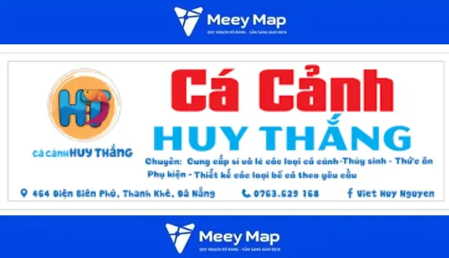 Cá Cảnh Huy Thắng