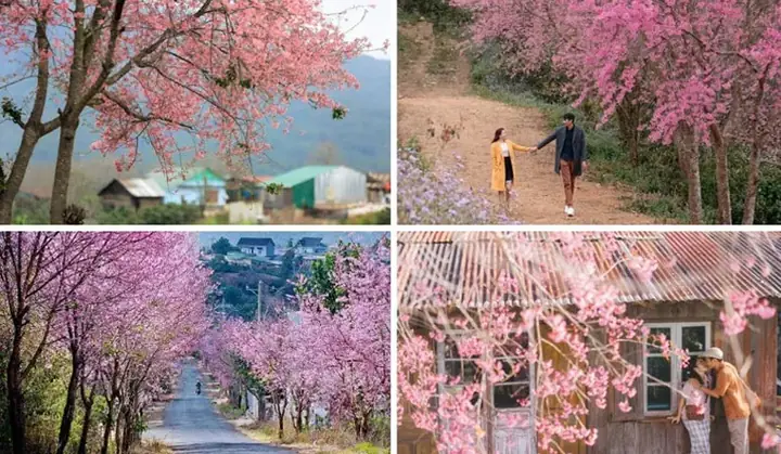 Địa Điểm