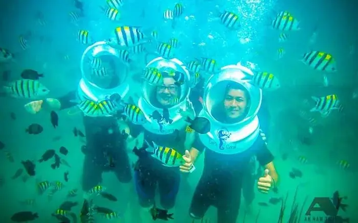 Điều Hấp Dẫn Trong Tour Đi Bộ Dưới Biển Nha Trang Điều Hấp Dẫn Trong Tour Đi Bộ Dưới Biển Nha Trang