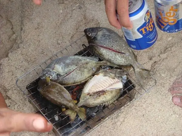 Những Món Ngon Không Thể Bỏ Qua Ở Đảo Bình Hưng